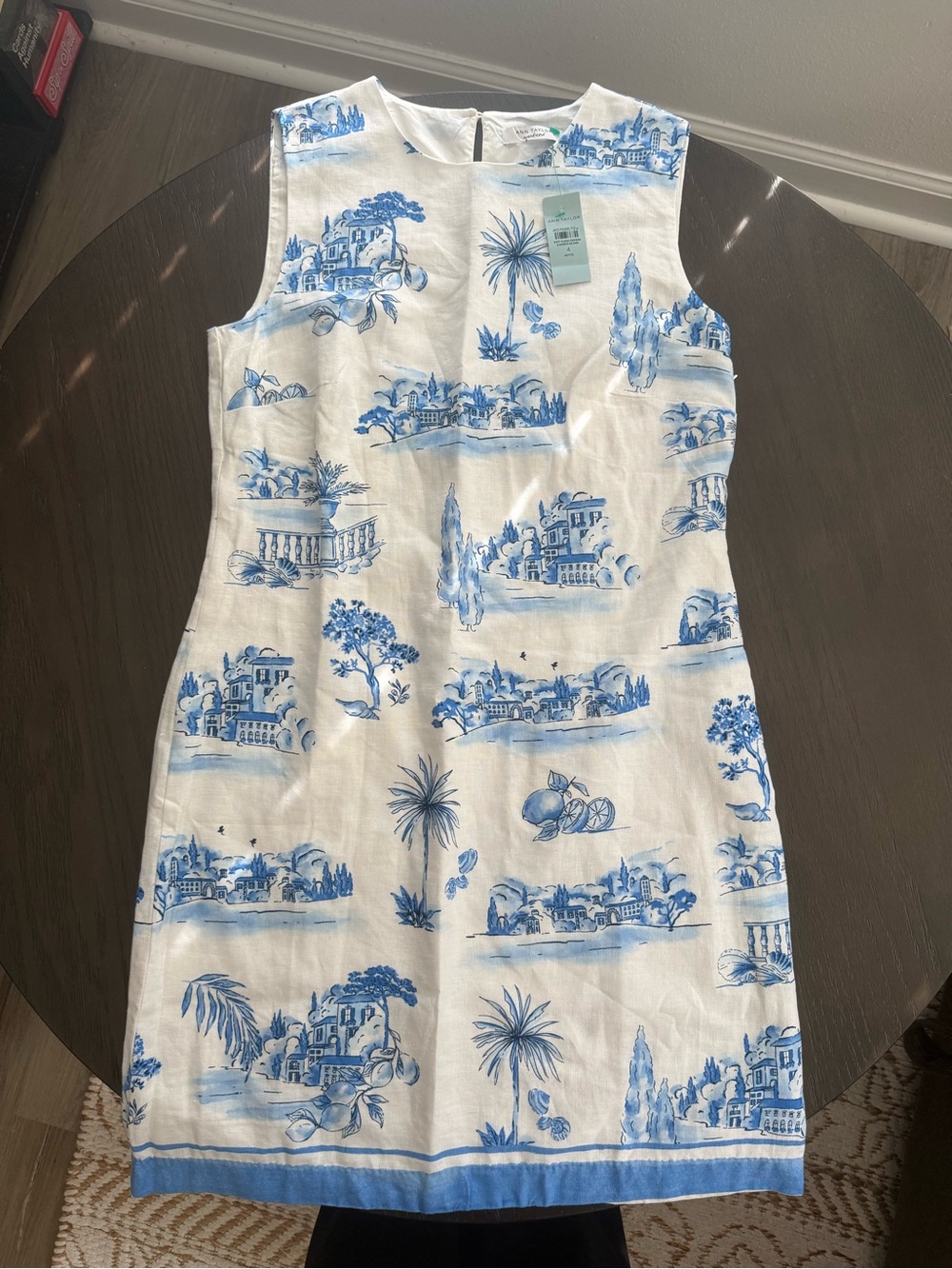 Ann Taylor White Dress with Blue Scenic Print